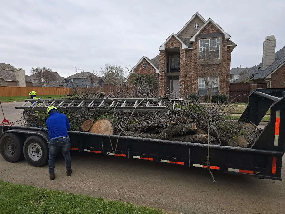 Expert Lot Clearing with proper safety equipment in Yeoman